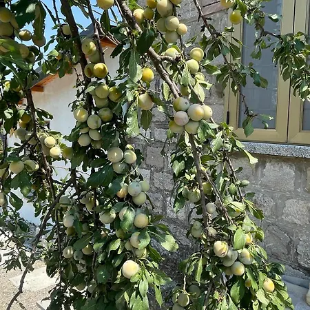 Monte Caruso Villa *