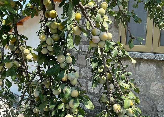 Monte Caruso Villa *